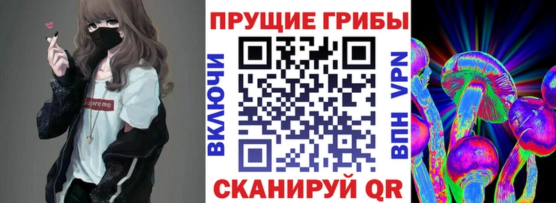 Галлюциногенные грибы Psilocybe  Ростов 